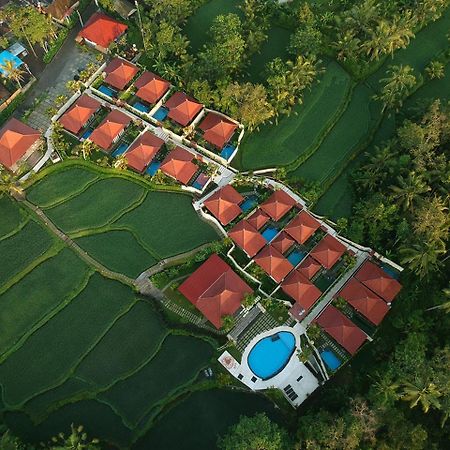 Vrindavan Ubud Villa Тегалаланг Екстериор снимка