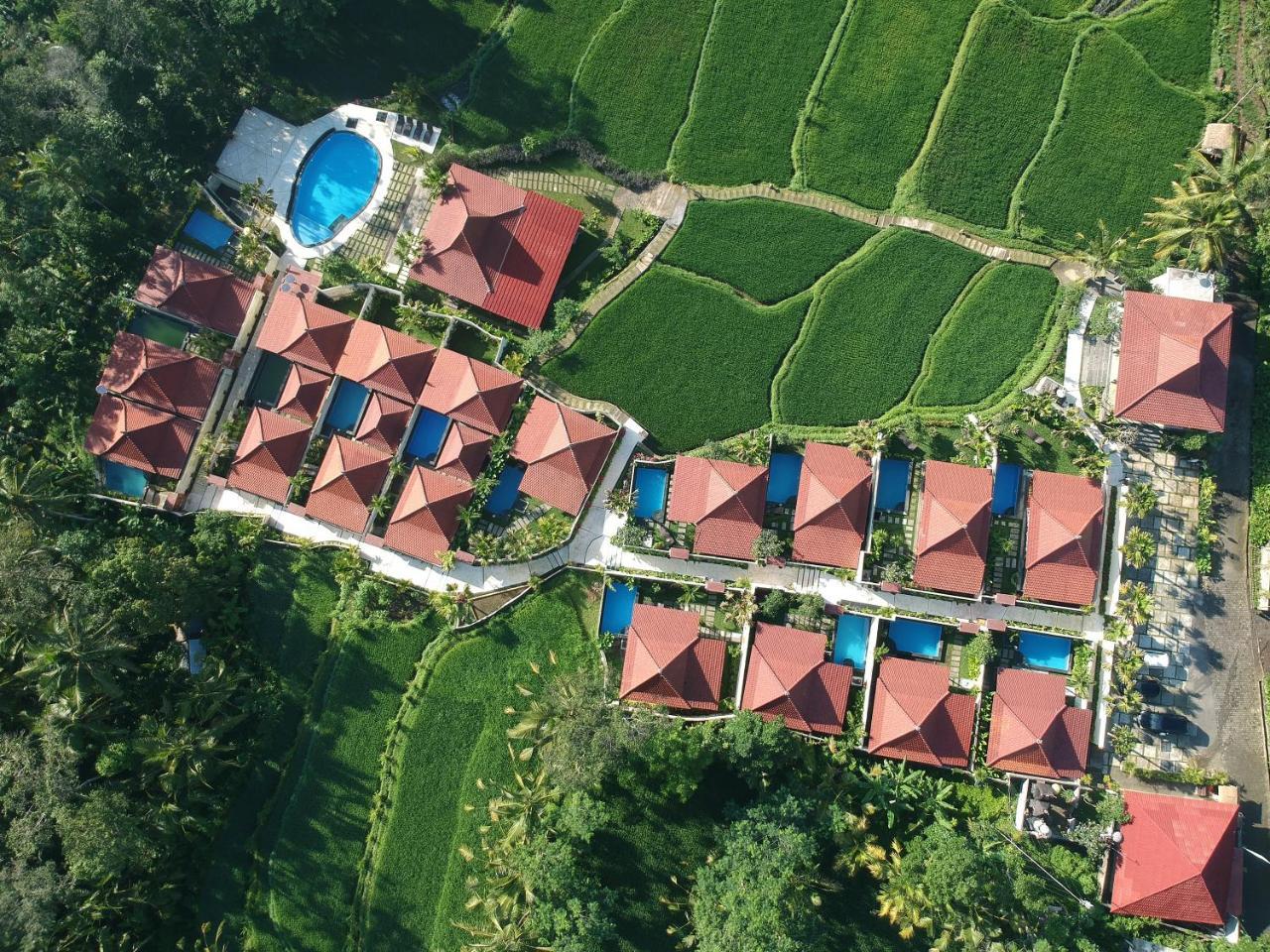 Vrindavan Ubud Villa Тегалаланг Екстериор снимка