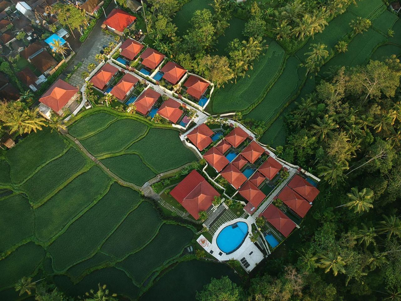 Vrindavan Ubud Villa Тегалаланг Екстериор снимка