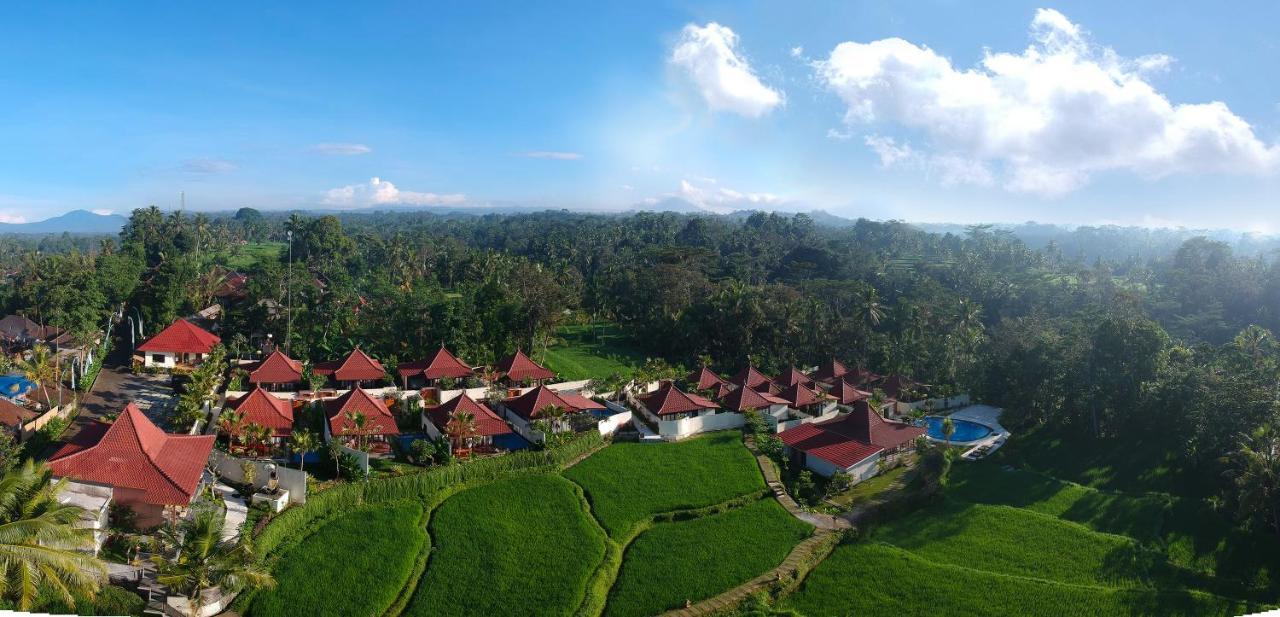 Vrindavan Ubud Villa Тегалаланг Екстериор снимка